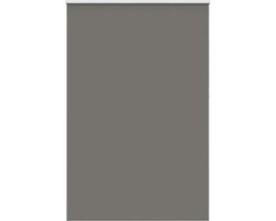 vidaXL - Rolgordijn - verduisterend - 160x210 - cm - stofbreedte - 156,6 - cm - grijs