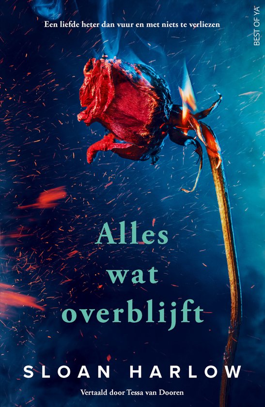 Alles wat overblijft - cover