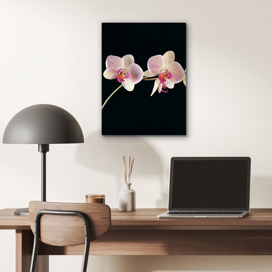 Décoration murale Métal - Peinture Aluminium Industriel - Orchidée - Fleurs - Zwart - Rose - Boutons - 30x40 cm - Dibond - Photo sur aluminium - Décoration murale industrielle - Pour le salon/chambre