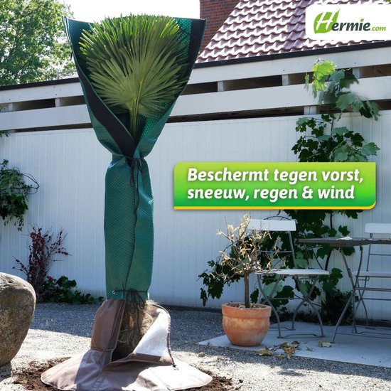 Groene bloeiende planten | 10 x mooie groene bloemen | Tijd voor je tuin