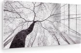 MuchoWow® Glasschilderij 40x20 cm - Schilderij acrylglas - Boom - Takken - Bladeren - Mist - Foto op glas - Muurdecoratie woonkamer - Wanddecoratie slaapkamer - Schilderijen