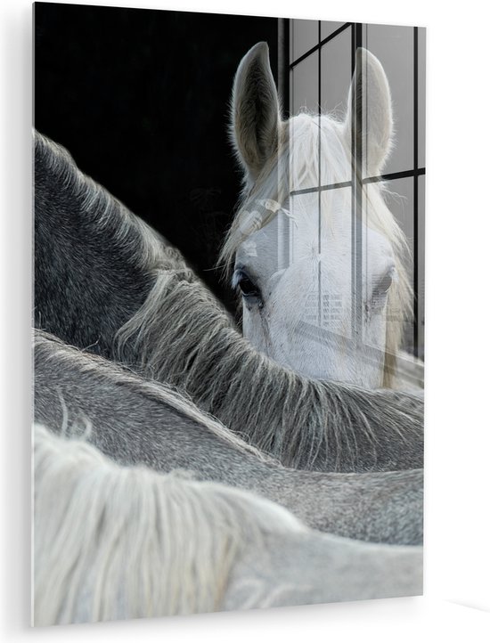 MuchoWow® Peinture sur verre 120x160 cm - Peinture sur verre acrylique - Paarden - Animaux - Zwart - Wit - Photo sur verre - Peintures