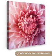 Tableau sur toile 20x20 cm - Décoration murale Dahlia - Bloem - Gros plan - Rose - Décoration murale salon - Décoration chambre - Accessoires chambre - Peintures sur toile