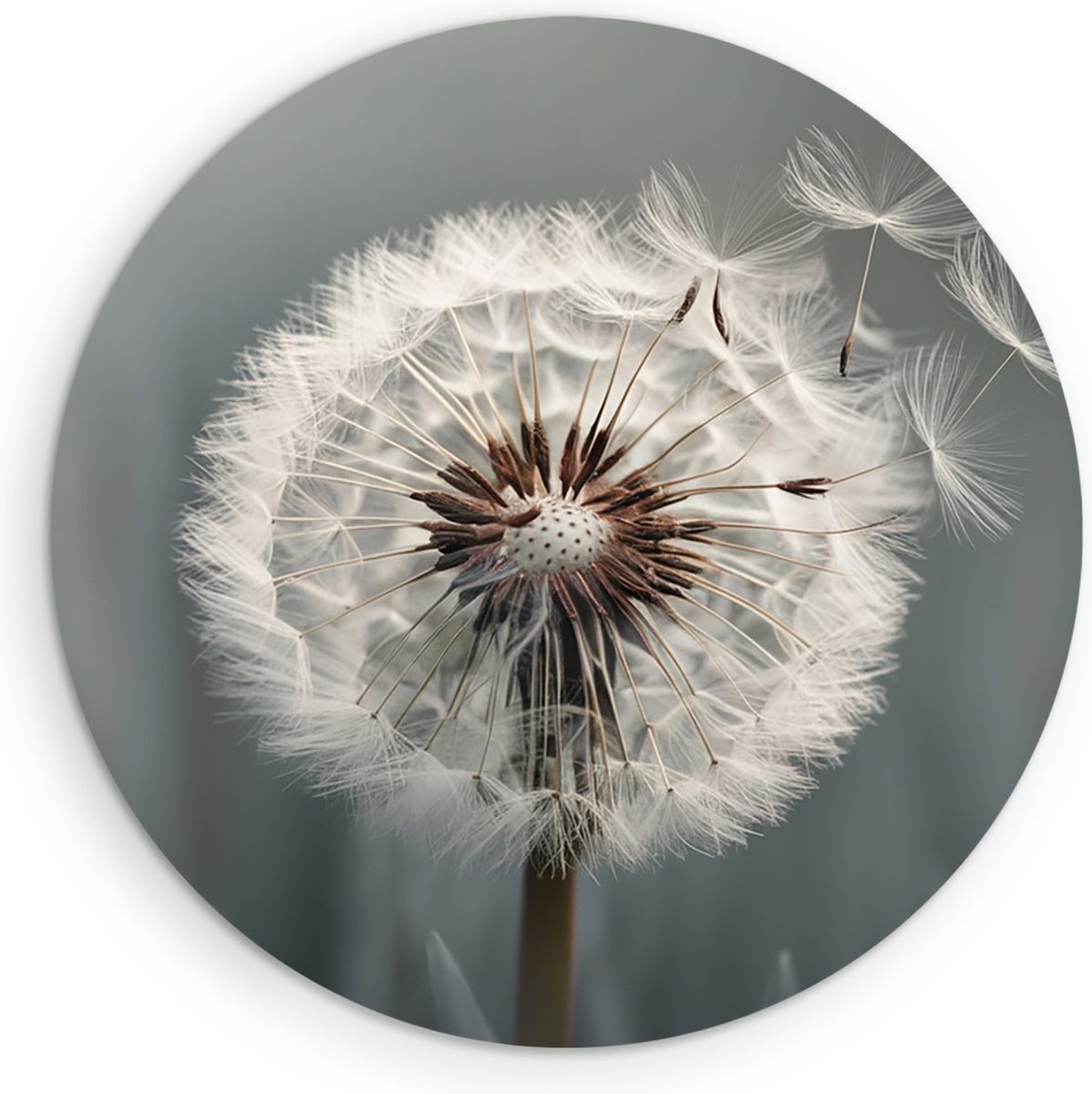 Saammp Forex Muurcirkel - Abstracte Paardenbloem in Wind - Natuur - Abstract - Ø 70 - Wandcirkel - Wanddecoratie Cirkel - Muurdecoratie Woonkamer - Kantoor Decoratie