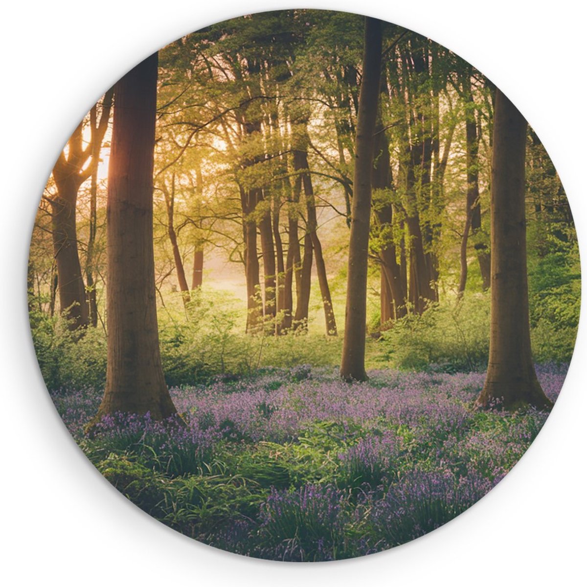 Saammp Muurcirkel Hout - Bos met lavendel - Landschap - Natuur - Ø 50 - Wandcirkel - Wanddecoratie Cirkel - Muurdecoratie Woonkamer - Slaapkamer decoratie - Rond Schilderij
