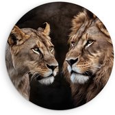 Saammp Muurcirkel Hout - Leeuwen koppel - Dieren - Natuur - Ø 50 - Wandcirkel - Wanddecoratie Cirkel - Muurdecoratie Woonkamer - Slaapkamer decoratie - Rond Schilderij