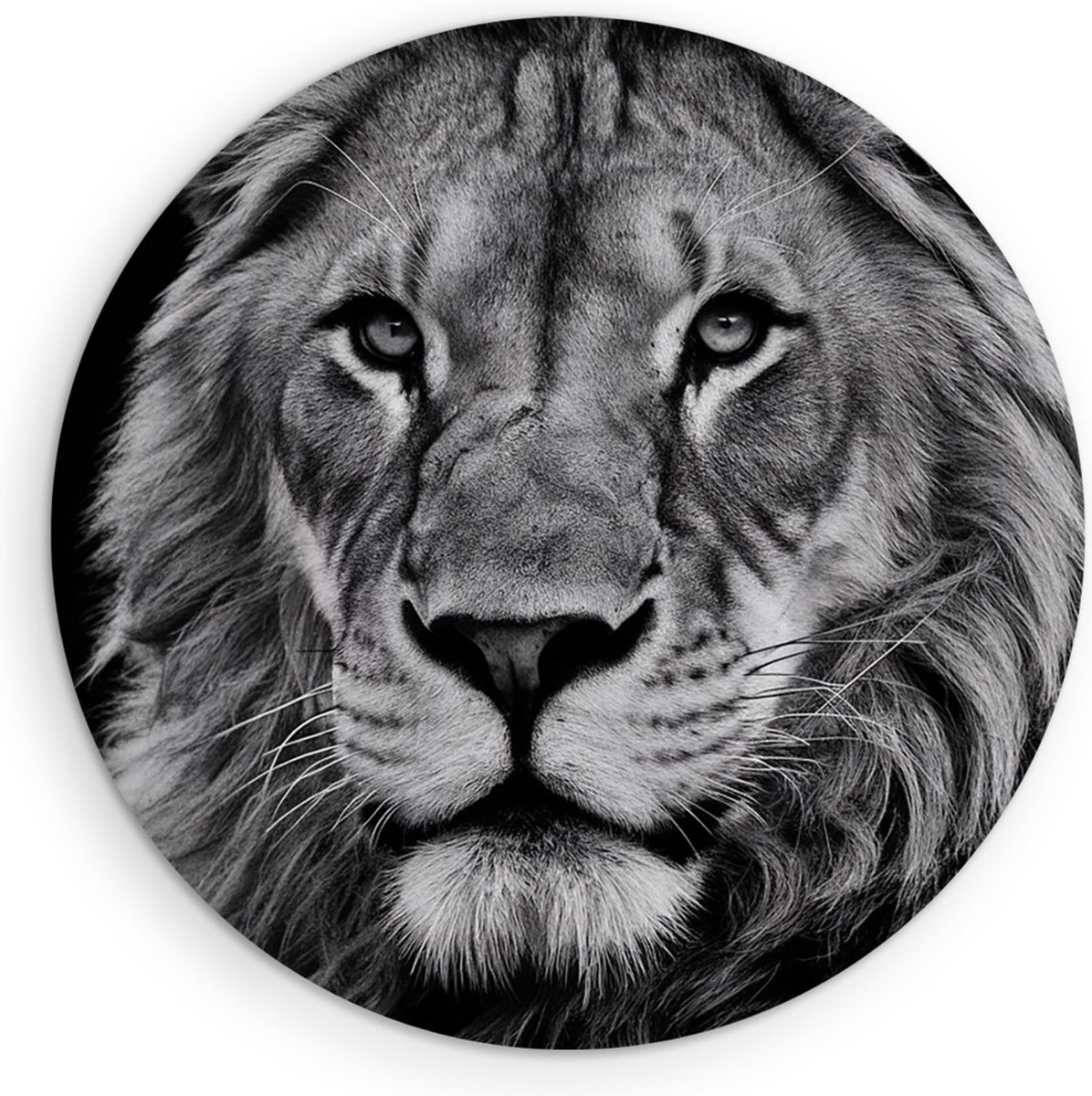 Saammp Forex Muurcirkel - Leeuwen Portret - zwart-wit - Dieren - Natuur - Ø 80 - Wandcirkel - Wanddecoratie Cirkel - Muurdecoratie Woonkamer - Slaapkamer decoratie - Rond Schilderij