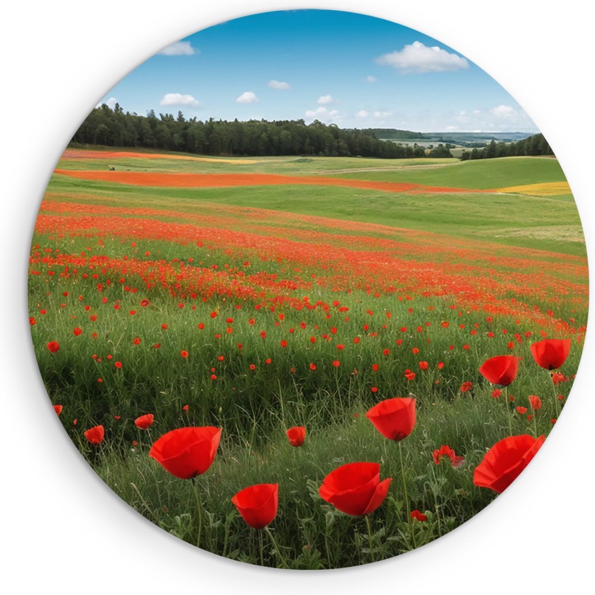 Saammp Muurcirkel Hout - Tulpenveld - Natuur - Landschap - Ø 70 - Wandcirkel - Wanddecoratie Cirkel - Muurdecoratie Woonkamer - Slaapkamer decoratie - Rond Schilderij