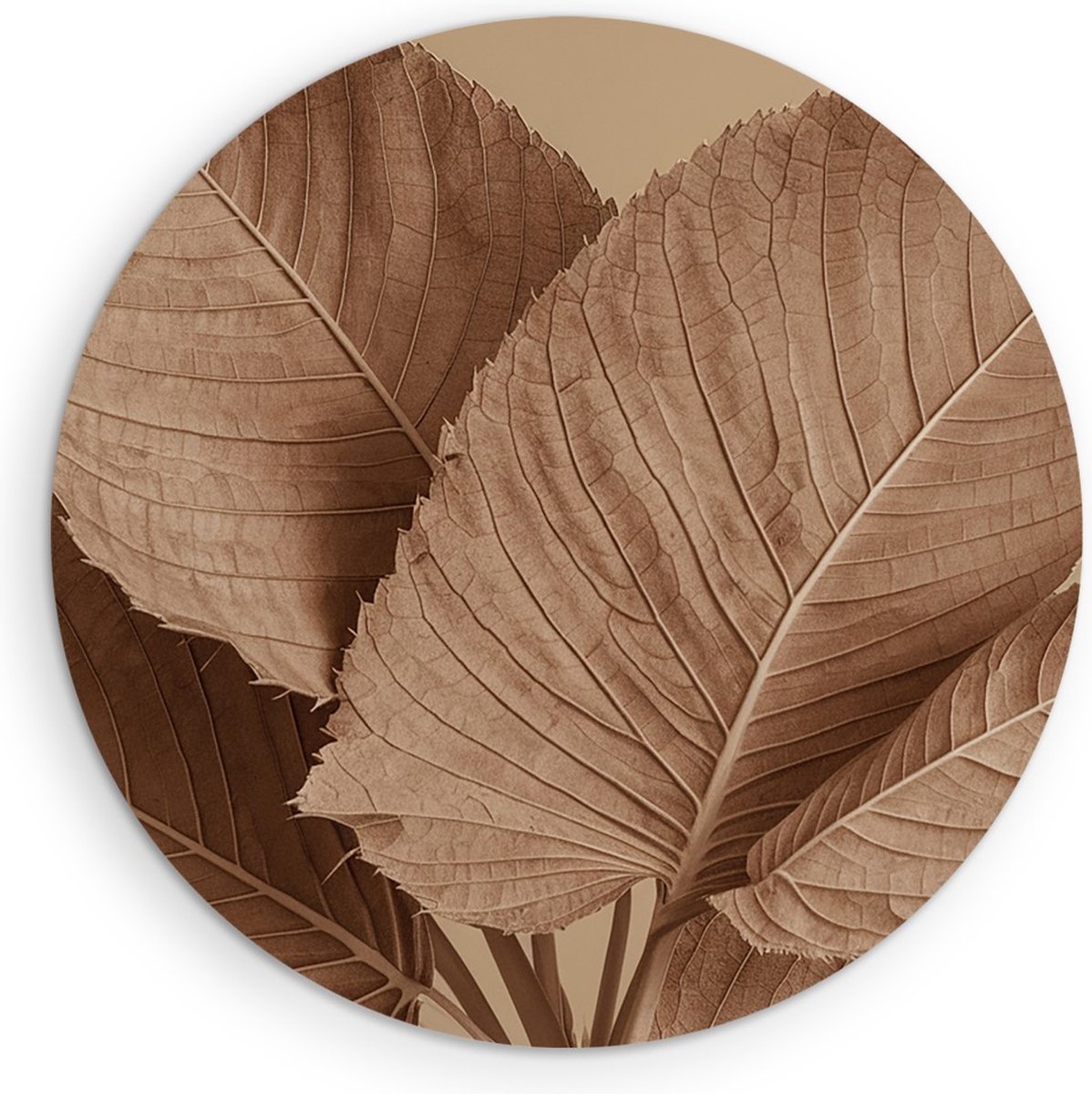 Saammp Muurcirkel Hout - Bruine bladeren - Natuur - Ø 60 - Wandcirkel - Wanddecoratie Cirkel - Muurdecoratie Woonkamer - Kantoor Decoratie