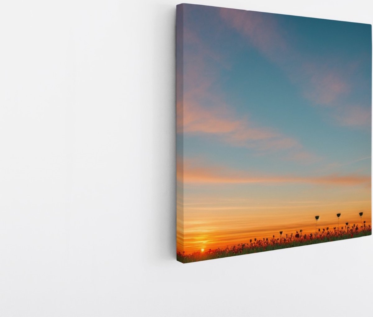 Saammp Canvas Schilderij - Landschap - Bloemenveld - Natuur - 30x30 - Foto op canvas - Wanddecoratie - Muurdecoratie Woonkamer - Slaapkamer decoratie - Canvas Print Multicolor