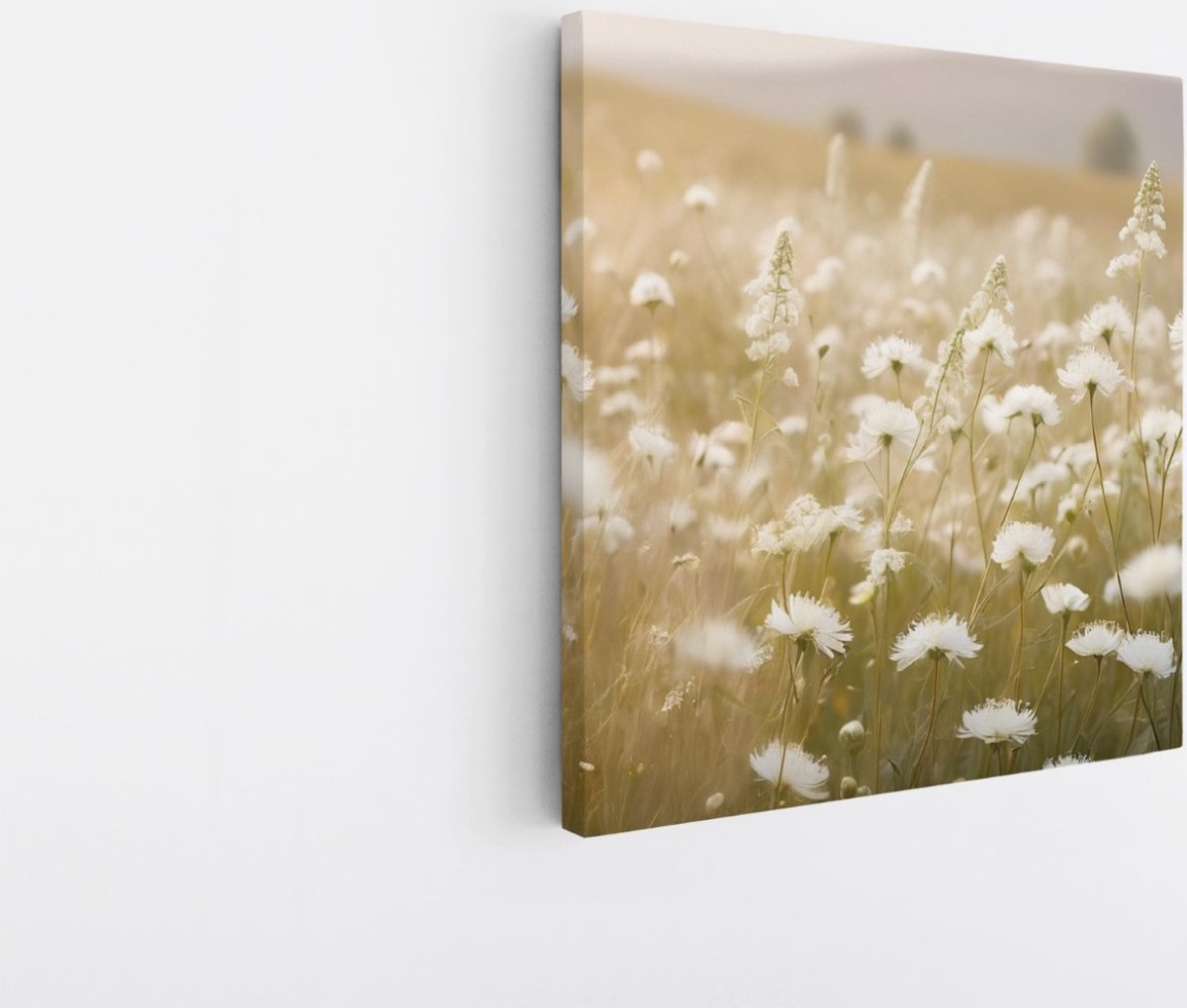 Saammp Canvas Schilderij - Landschap - Wit - Bloemen van dichtbij - Natuur - 30x30 - Foto op canvas - Wanddecoratie - Muurdecoratie Woonkamer - Slaapkamer decoratie - Canvas Print Multicolor