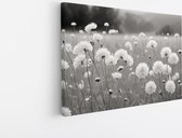 Saammp Canvas Schilderij - Landschap - Zwart-Wit - Bloemen van dichtbij - Natuur - 40x30 - Foto op canvas - Wanddecoratie - Muurdecoratie Woonkamer - Slaapkamer decoratie - Canvas Print