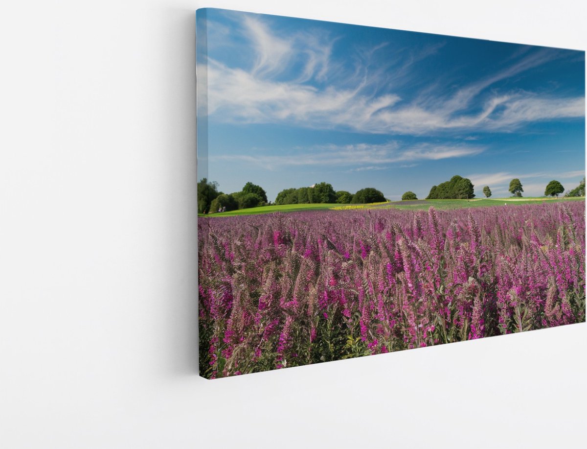Saammp Canvas Schilderij - Lavendel met mooie blauwe lucht - Natuur - Landschap - 120x80 - Foto op canvas - Wanddecoratie - Muurdecoratie Woonkamer - Slaapkamer decoratie - Canvas Print Multicolor