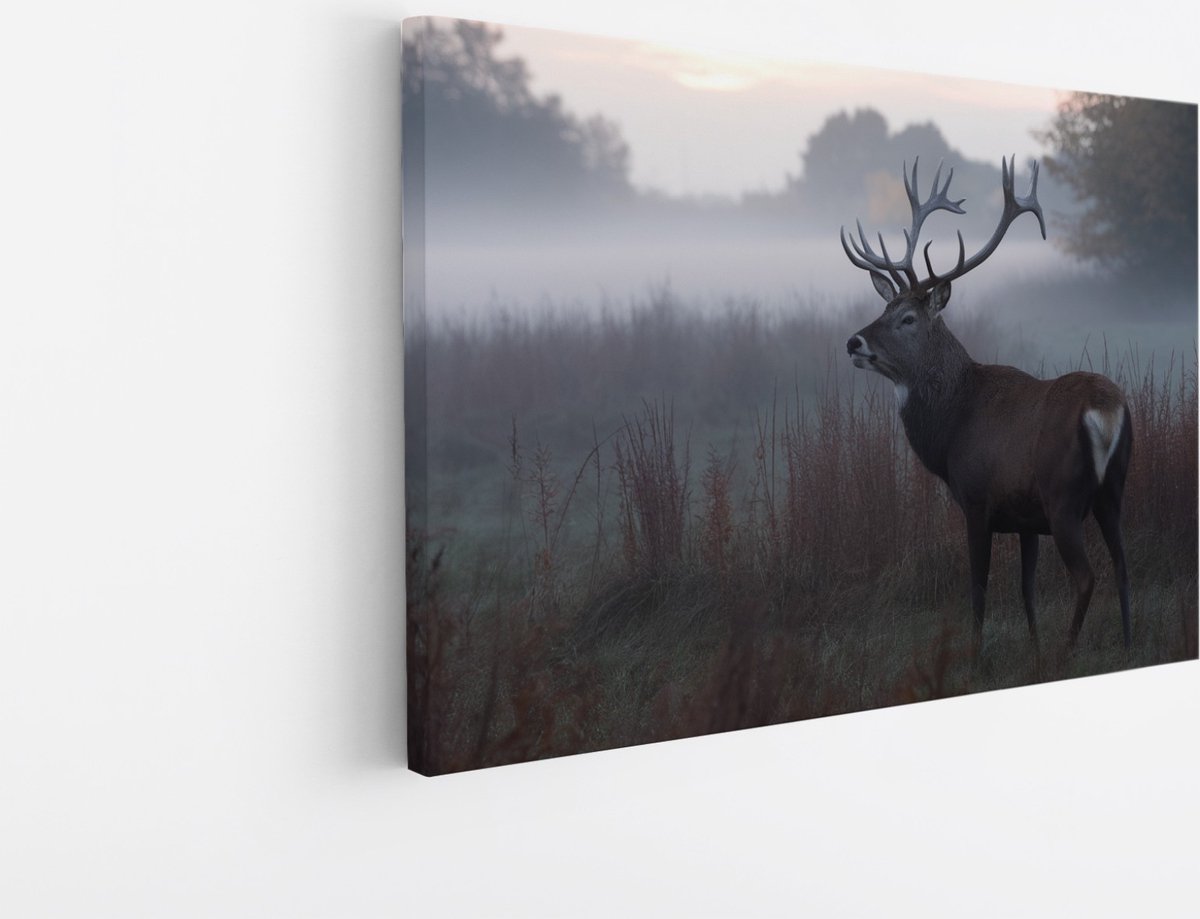 Saammp Canvas Schilderij - Hert - Mist - Natuur - Dieren - 100x75 - Foto op canvas - Wanddecoratie - Muurdecoratie Woonkamer - Slaapkamer decoratie - Canvas Print Multicolor