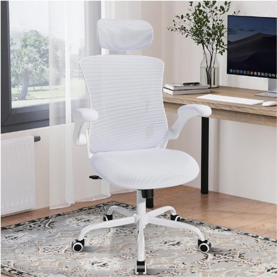 DE BESTE DUWINSON ERGONOISCHE ESH-BUREAUSTOEL VOOR HET THUISKANTOOR