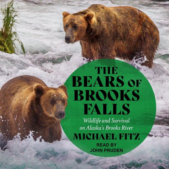 The Bears of Brooks Falls - cover