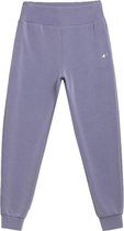 4F Women's Sweatpants H4L21-SPDD011-32S, Vrouwen, Grijs, Broeken, maat: XS EU