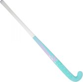 Reece Australia Center Force 120 Hockeystick - Maat 36.5