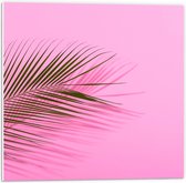 Forex - Smal Groen Blad op Roze Achtergrond - 50x50cm Foto op Forex