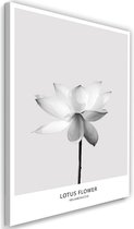Schilderij Witte lotus bloem, 2 maten, wit-grijs