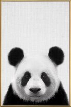 JUNIQE - Poster met kunststof lijst Panda zwart-wit foto -30x45 /Grijs