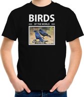 Dieren foto t-shirt Raaf vogel - zwart - kinderen - birds of the world - cadeau shirt vogel liefhebber XL (158-164)