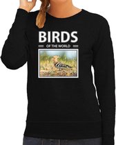 Dieren foto sweater Hop - zwart - dames - birds of the world - cadeau trui Hop vogels liefhebber XS