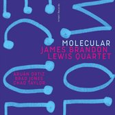 James Brandon Lewis, Chad Taylor & Aruán Ortiz - Molecular (CD)