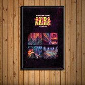 Akira Poster 10 - 60x80cm Canvas - Multi-color