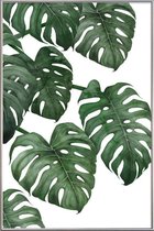 JUNIQE - Poster met kunststof lijst Monstera plant -60x90 /Groen & Wit