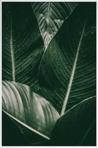 JUNIQE - Poster in kunststof lijst Palm Drops -20x30 /Grijs & Ivoor