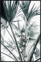 JUNIQE - Poster met kunststof lijst Beach Palm Fruits -13x18 /Grijs &