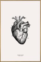 JUNIQE - Poster met kunststof lijst Menselijk hart -30x45 /Grijs &