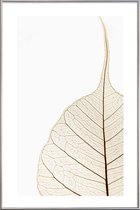 JUNIQE - Poster met kunststof lijst Translucent Leaf -60x90 /Wit