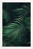 JUNIQE - Poster met houten lijst Feathered Palm -13x18 /Groen