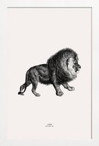 JUNIQE - Poster met houten lijst Lion -13x18 /Grijs & Ivoor