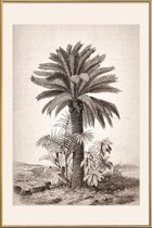 JUNIQE - Poster met kunststof lijst Sago Palm -60x90 /Grijs & Ivoor