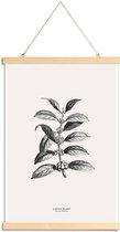 JUNIQE - Posterhanger Koffieplant -60x90 /Grijs & Ivoor