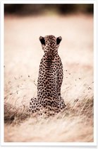 JUNIQE - Poster Still Leopard -60x90 /Bruin