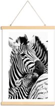 JUNIQE - Posterhanger Zebras -60x90 /Wit & Zwart
