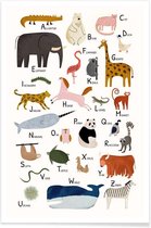 JUNIQE - Poster Animal Friends II -40x60 /Kleurrijk