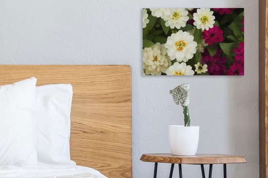 Toile de fleurs de zinnia blanc et violet 30x20 cm - petit - Tirage photo sur toile (décoration murale salon / chambre)