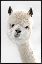 JUNIQE - Poster in kunststof lijst Alpaca met scheve kop -20x30 /Wit