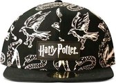Harry Potter - Houses Snapback Pet - Zwart