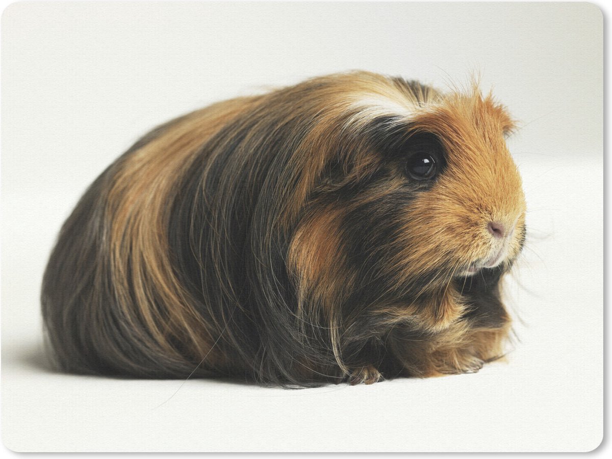 Muismat Cavia - Zwart en wit cavia muismat rubber - 23x19 cm - Muismat met foto