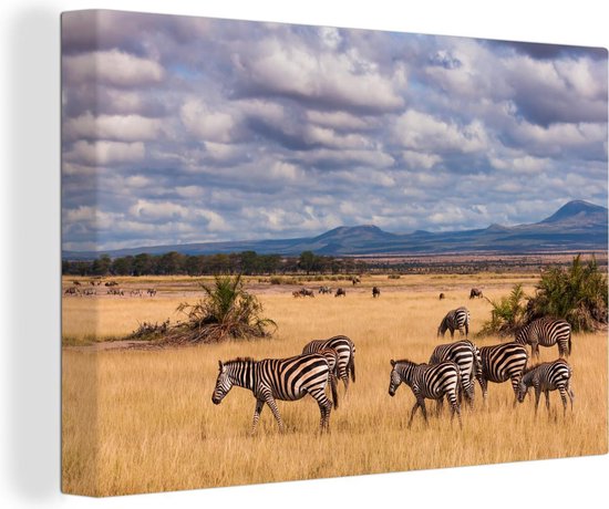 Zèbres dans le parc national du Masai Mara au Kenya Toile 180x120 cm - Tirage photo sur toile (Décoration murale salon / chambre) XXL / Groot format!