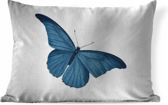 Trend stopcontact diepvries Sierkussens - Kussen - Illustratie van een blauwe vlinder - 60x40 cm -  Kussen van katoen | bol.com