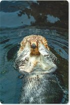 Muismat - Mousepad - Otter ligt in het water - 18x27 cm - Muismatten