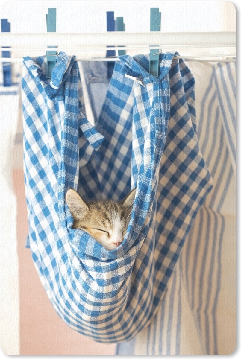 Muismat Katten - Kat slapend in vaatdoek muismat rubber - 18x27 cm - Muismat met foto