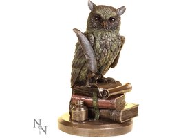 Nemesis Now - Ulula Beeld/figuur - Multicolours